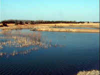 Panorama 3 Looking North 2-12-00.JPG (66908 bytes)