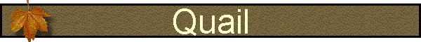 Quail